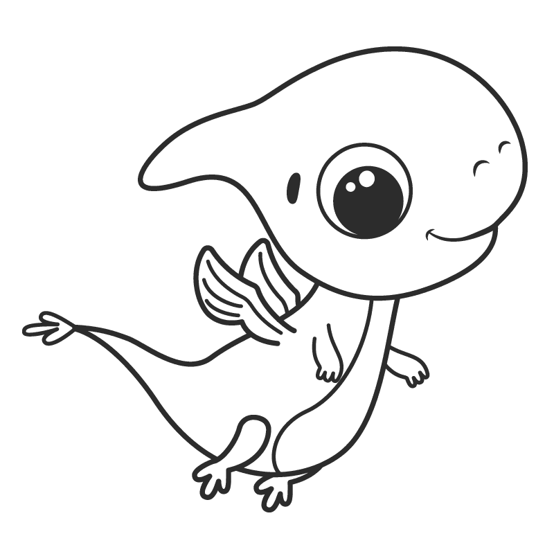 Dinosaurios para colorear 28