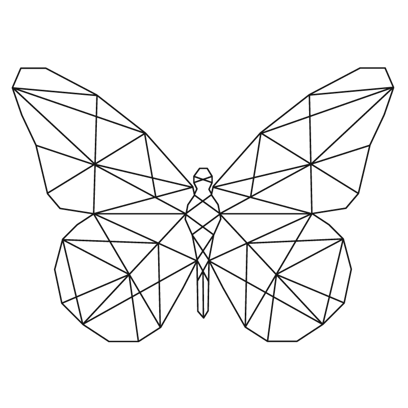 Mariposas para colorear 14