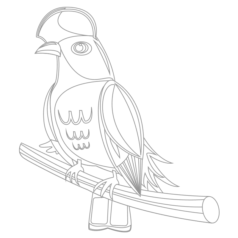 Pájaros para colorear 3