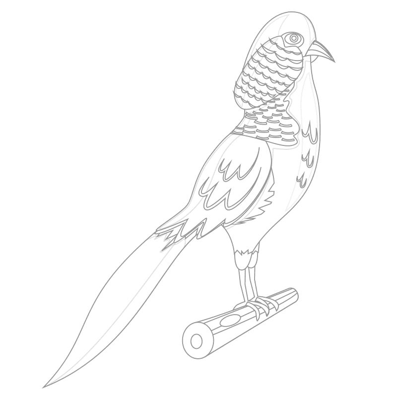 Pájaros para colorear 5