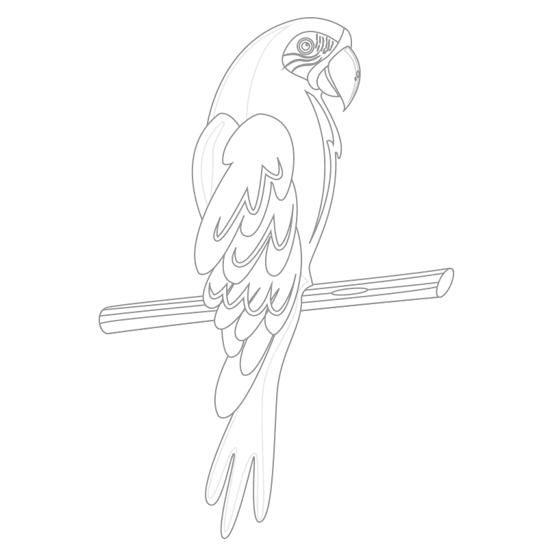 Pájaros para colorear 7