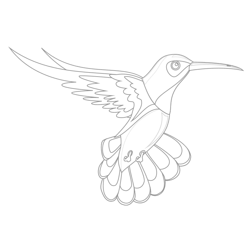Pájaros para colorear 8