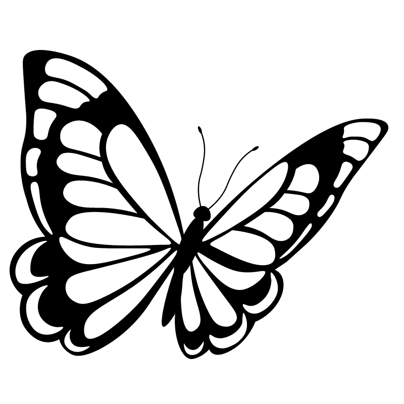 mariposa-color para colorear - 17