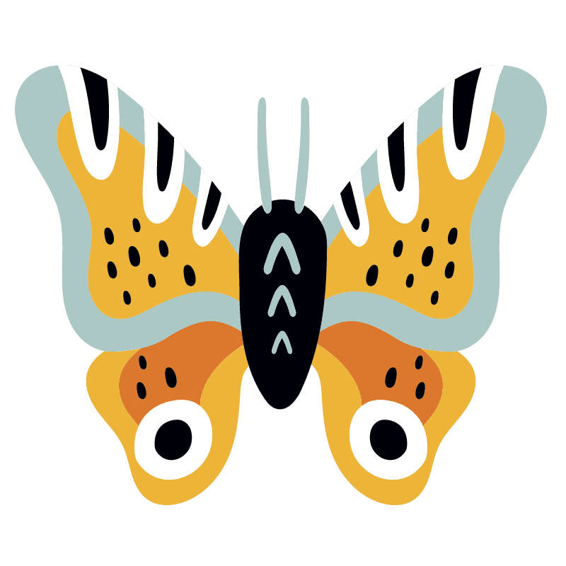 mariposa-color para colorear - 27