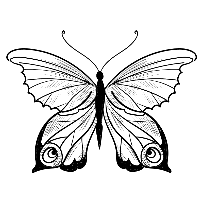 mariposa-color para colorear - 34